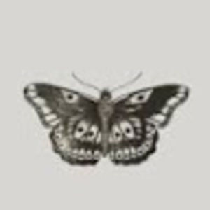 Meet your Posher, Bonnie